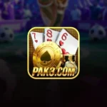 PK3 Game ican