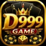 D999 Game ican