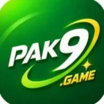 PAK9 Game ican
