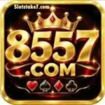 8557 Game ican